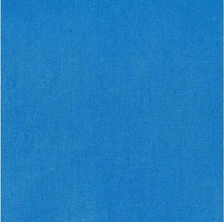 Immagine prodotto Hama Sfondo Bluescreen, tessuto, 2,95 x 6 m, blu reale (295 cm, 600 cm)