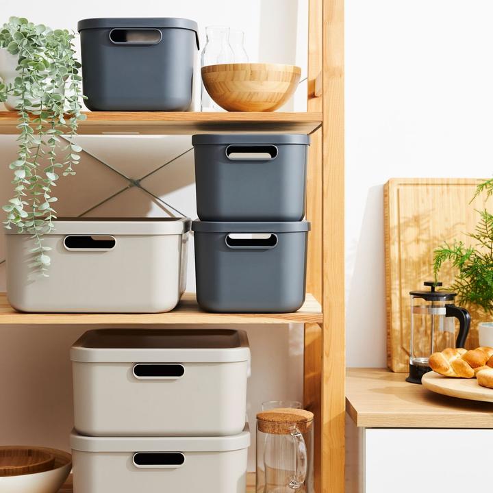 Actual product image Rotho Box12l Albula Anthracite (12 l)
