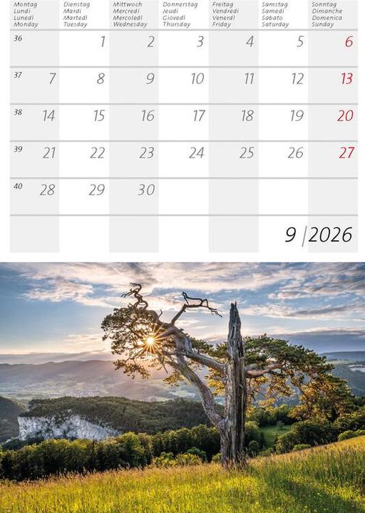 Immagine prodotto Kleiner Schweizer Kalender 2026 (Copertina rigida, Tedesco, Francese)