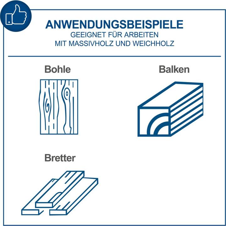 Image du produit Scheppach Niveleuse avec ébarbage HMS860