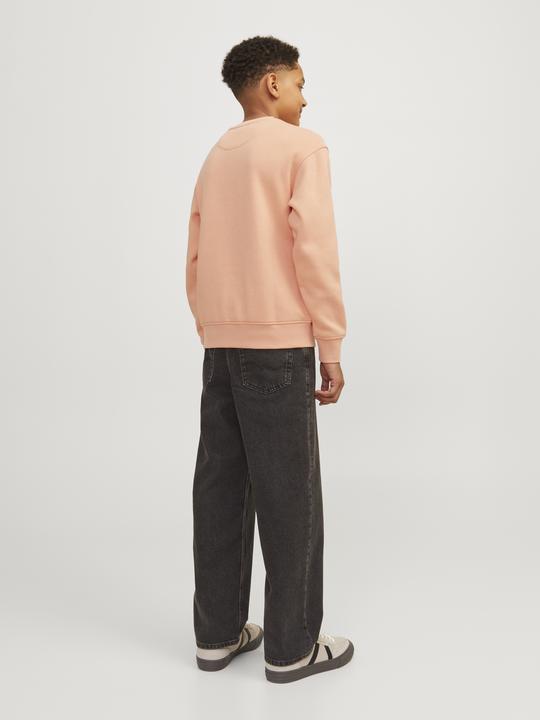 Immagine prodotto Jack & Jones Jorvesterbro Sweat Crew Neck Bn Mni (116)