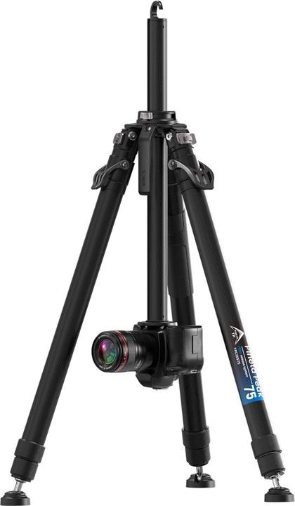 Actual product image Yc onion Pineta Peak (Carbon)