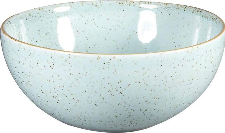 Immagine prodotto Churchill Ciotola blu chiaro dell'uovo d'anatra di Stonecast 18.3cm 107.5cl (18.30 cm, 1.08 l, 1 x)