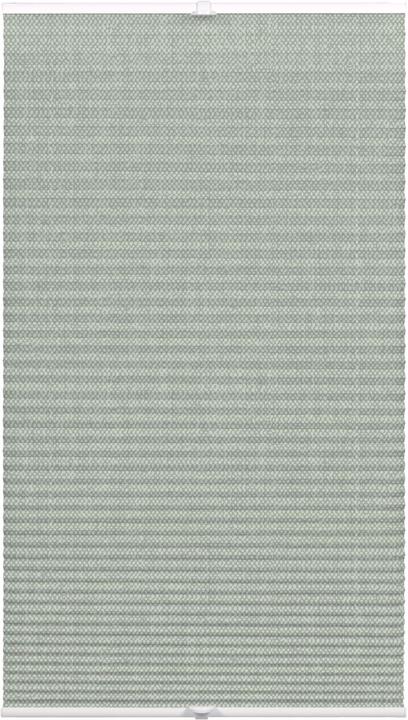 Produktbild Wohnidee Kollektion Plissee mit 2 Bedienschienen (80 x 130 cm)