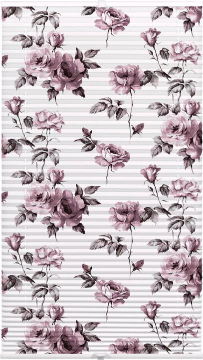 Blanc, Multicolore