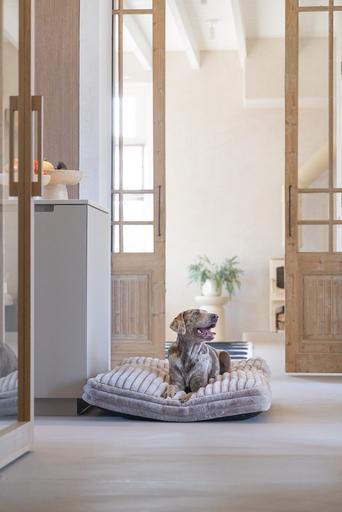 Produktbild Designed by Lotte Liegekissen Reza (Hund)