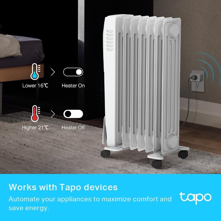 Actual product image TP-Link Tapo T315