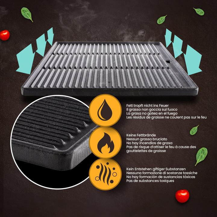 Actual product image CLP Grill plate