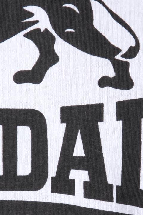 Immagine prodotto Lonsdale Logo regolare (M)