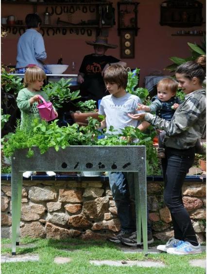 Actual product image Herstera Urban Garden
