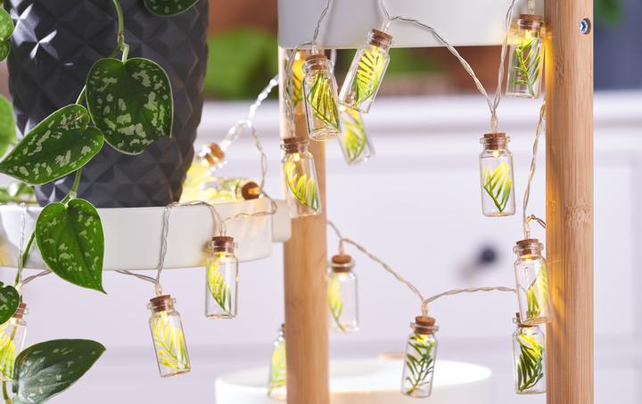 Produktbild VBS XXL Glasröhrchen
