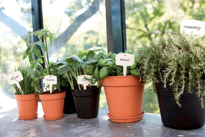 Image du produit Elho Planter (11 cm)
