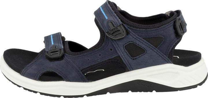 Ecco X trinsic