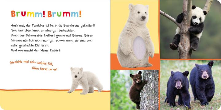 Produktbild Hör mal rein, wer kann das sein? - Kuschelige Tiere (Deutsch)
