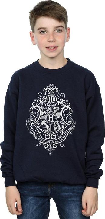 Actual product image Boys Hogwarts Draco Dormiens Crest Sweatshirt (140, 146)