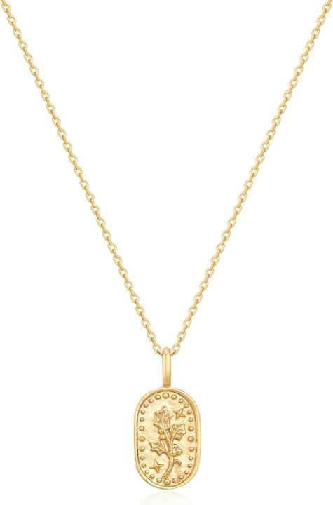Immagine prodotto Glanzstücke München Collana da donna fiore di nascita dicembre agrifoglio - 37202 (Argento, 40 - 45 cm)