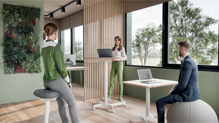Actual product image Leitz Ergo Compact Workstation Height-adjustable desk (80 x 60 x 75 cm)