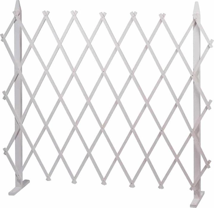 Image du produit Dobar Rankgitter (160 cm, 35 cm)