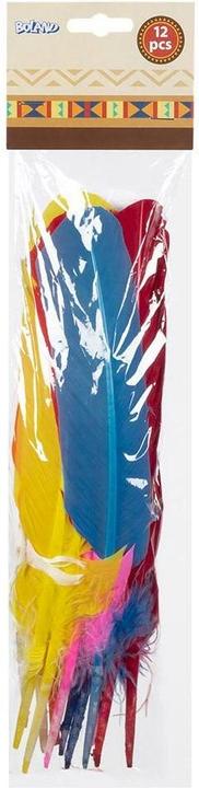 Actual product image Boland Indian feathers