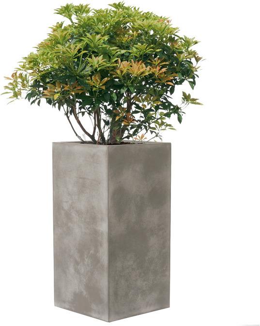 Actual product image Kirschke Pureline (37 cm)
