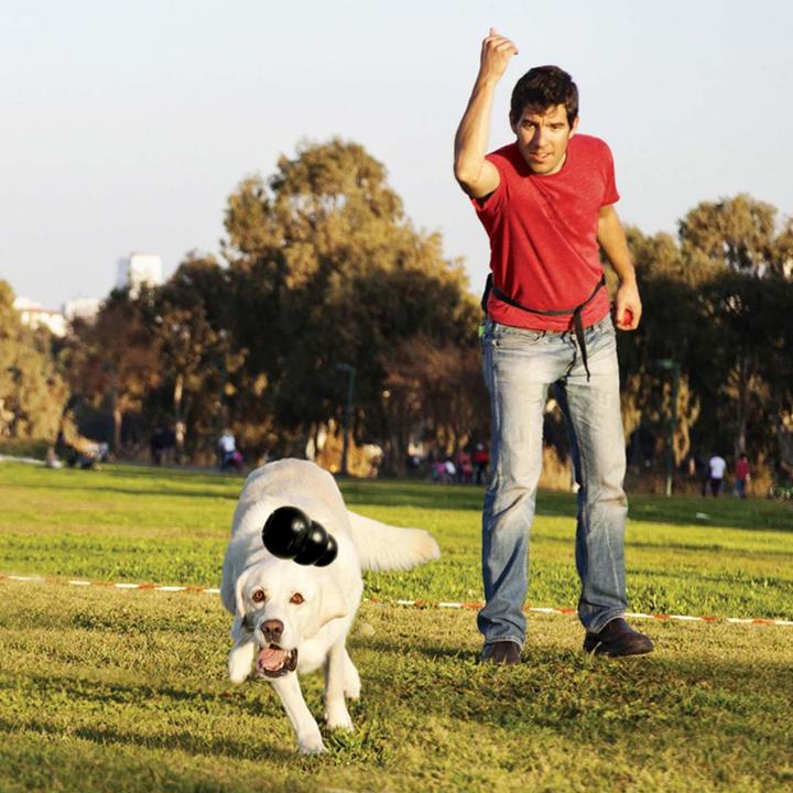 Immagine prodotto KONG Estremo (Reperimento, Giocattolo per cani, Gioco da masticare per cani)