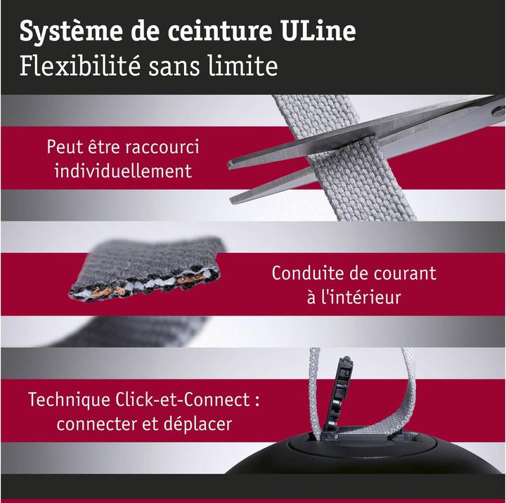Actual product image Paulmann Gurt-System ULine Pendel Bol (1245 lm)