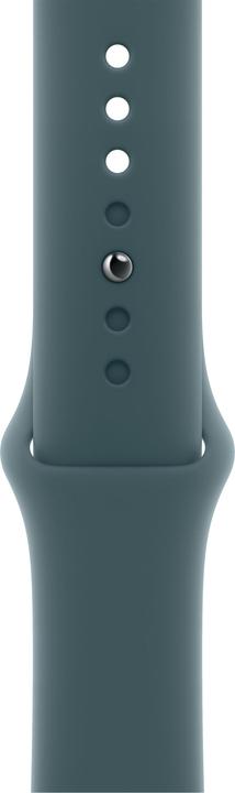 Immagine prodotto Apple Banda sportiva (42 mm, Fluoroelastomero)