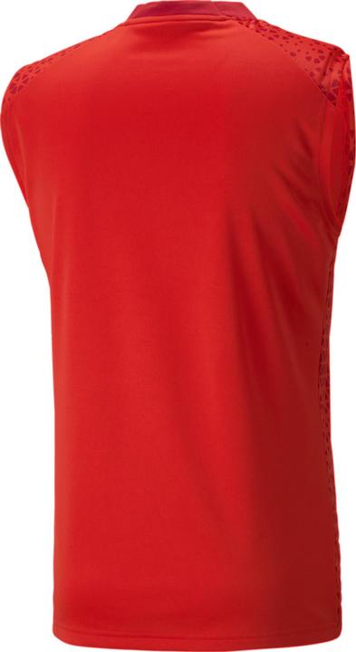 Actual product image Puma teamCUP Training Jersey SL (XL)