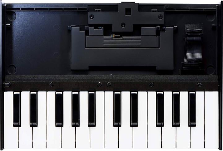 Image du produit Roland K-25m
