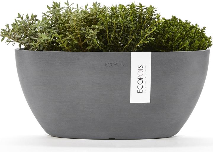 Actual product image Ecopots Sofia (13 cm)