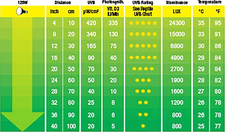 Produktbild Exo Terra Solar Glo Lampe (UVB, UVA)