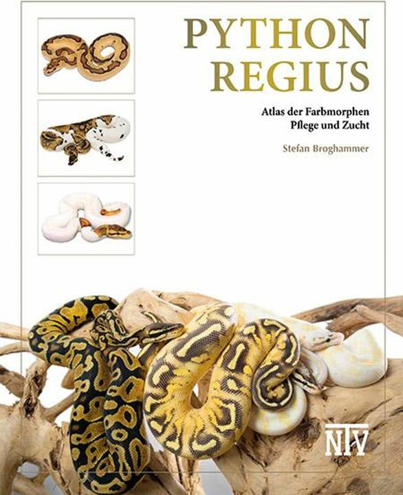 Produktbild Python regius (Deutsch, Stefan Broghammer, 2025)