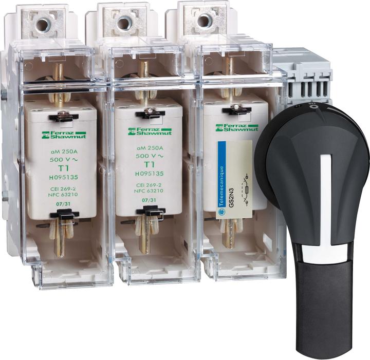 Actual product image Schneider Electric FUSE SWITCH 3X 250A 1