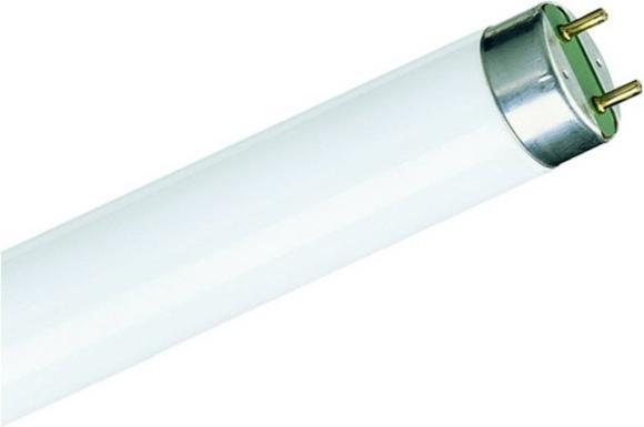 Image du produit Philips Master TL-D Super (G13, 36.60 W, 3100 lm, 1 x, G)