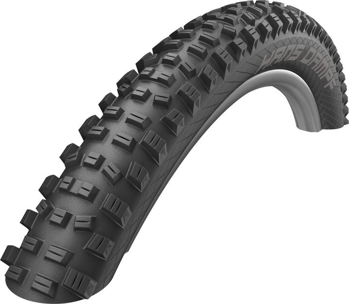Schwalbe Hans Dampf
