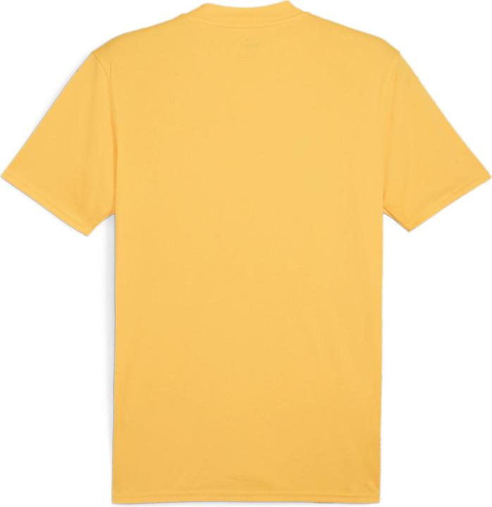Actual product image Puma teamGLORY Jersey (L)