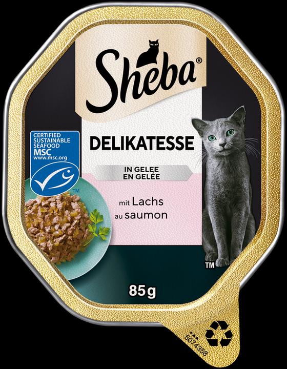 Produktbild Sheba Classics Schale Lachs Pastete MSC (Adult, 22 Stk., 1870 g)