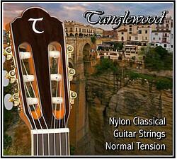 Image du produit Tanglewood TWGSC Classique N.Tension (Guitare)