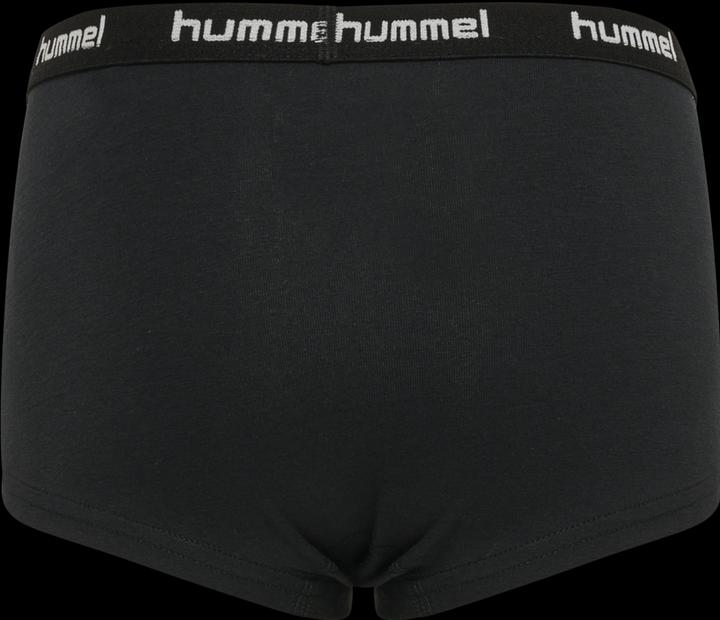 Actual product image hummel Hmlcarolina Hipsters 2-Pack (104, pack of 2)