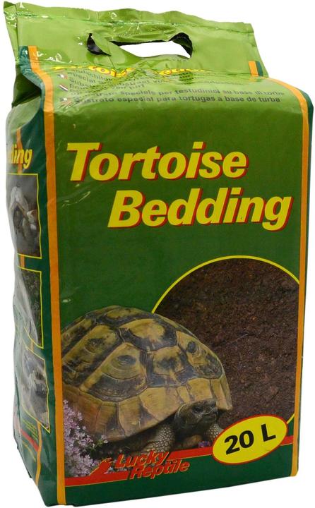 Decorazione terrario