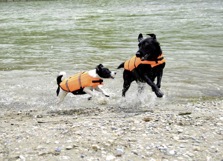Produktbild Hunde-Schwimmweste (Hundeschwimmweste)