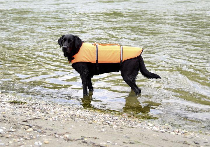 Produktbild Hunde-Schwimmweste (Hundeschwimmweste)