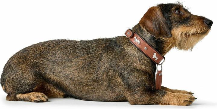 Actual product image Hunter Dachshund collar Munich 42/S, cowhide, cognac/black (42, S, Dog, Dog sport)