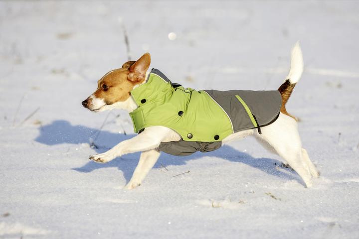 Image du produit Kerbl Extérieur Vancouver (S, Manteau pour chien)