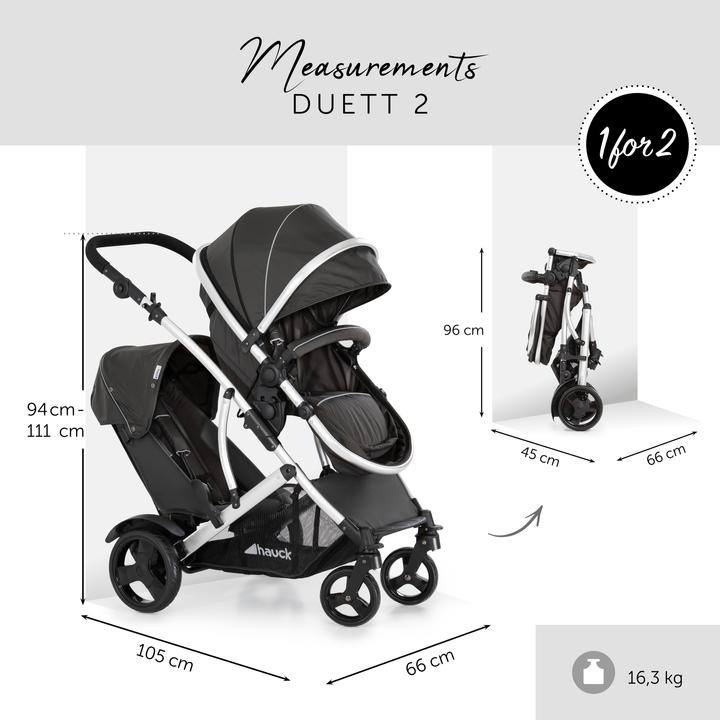 Actual product image Hauck Duet 2