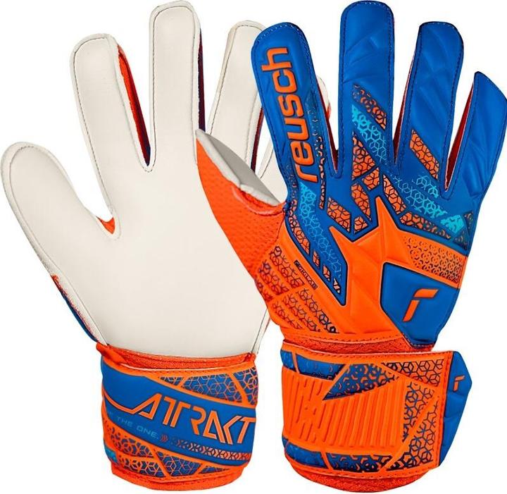 Blue, Shocking Orange