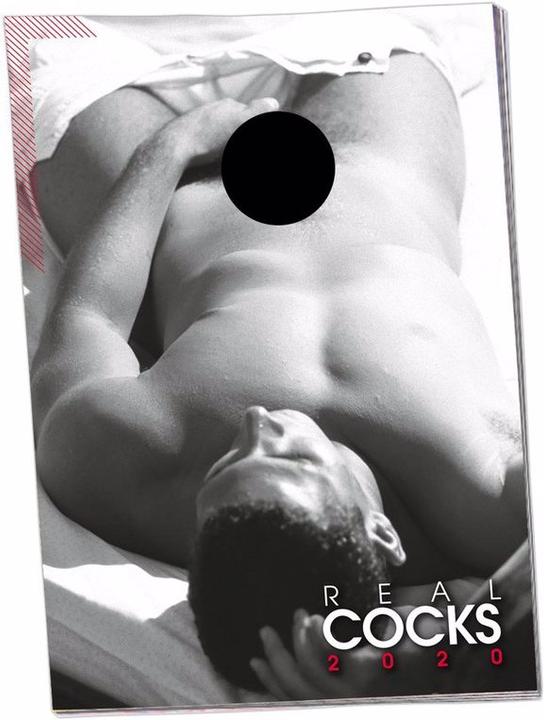 Actual product image Orion Pin-Up Calendar
