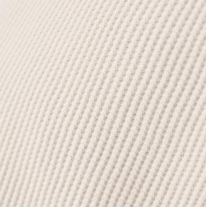 Actual product image Dickies Tom Knox Thermal Longsleeve (L)
