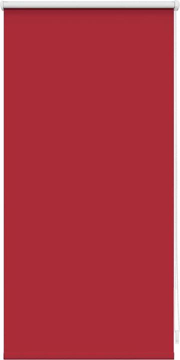 Immagine prodotto VidaXL Rollo (40 x 100 cm)