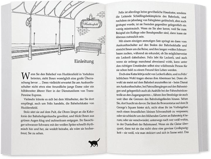 Image du produit Felix - Die Bahnhofskatze (Allemand, Kate Moore, Jochen Schwarzer, 2018)